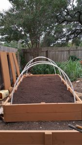 new veggie bed